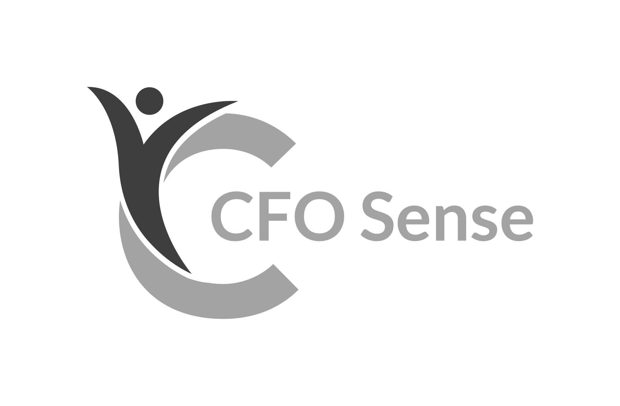 CFO Sense Logo - Footer